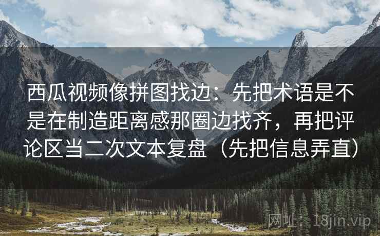 西瓜视频像拼图找边：先把术语是不是在制造距离感那圈边找齐，再把评论区当二次文本复盘（先把信息弄直）